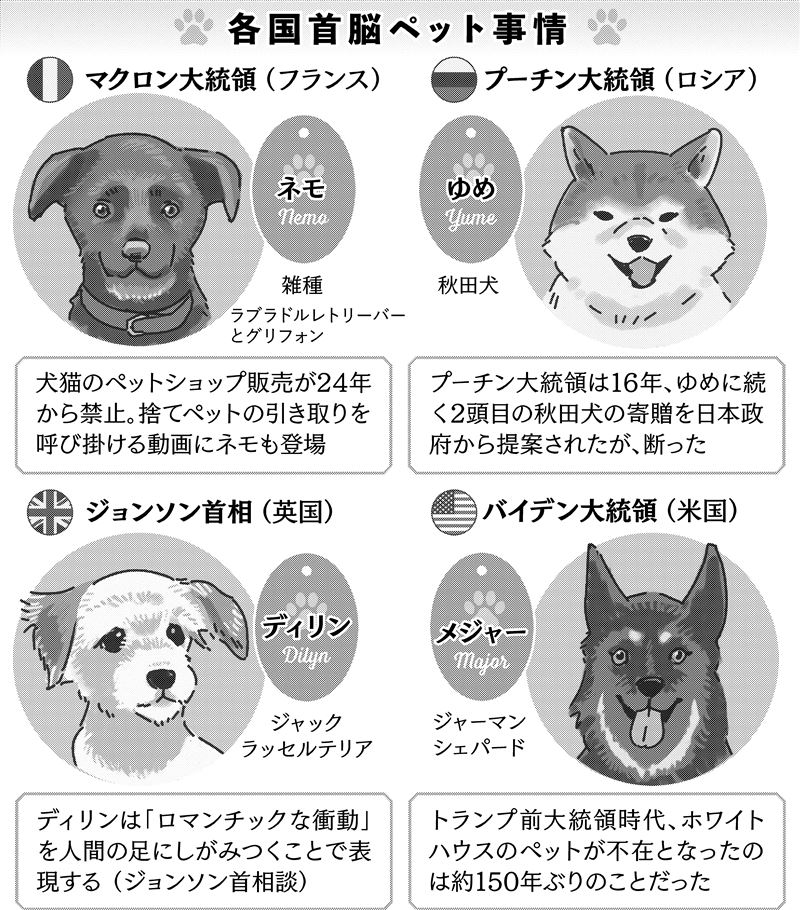 値下げしました。ジャックラッセルテリア 皮製 壁掛け時計 磯臭