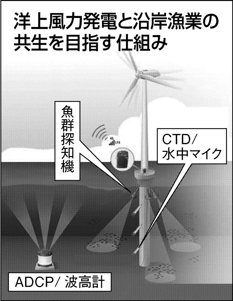 洋上風力と漁業共生 古野電気 漁場観測で支援 日刊工業新聞 電子版