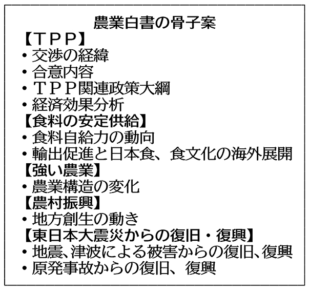 提案骨子例 – 計画骨子の作り方 – DSJM