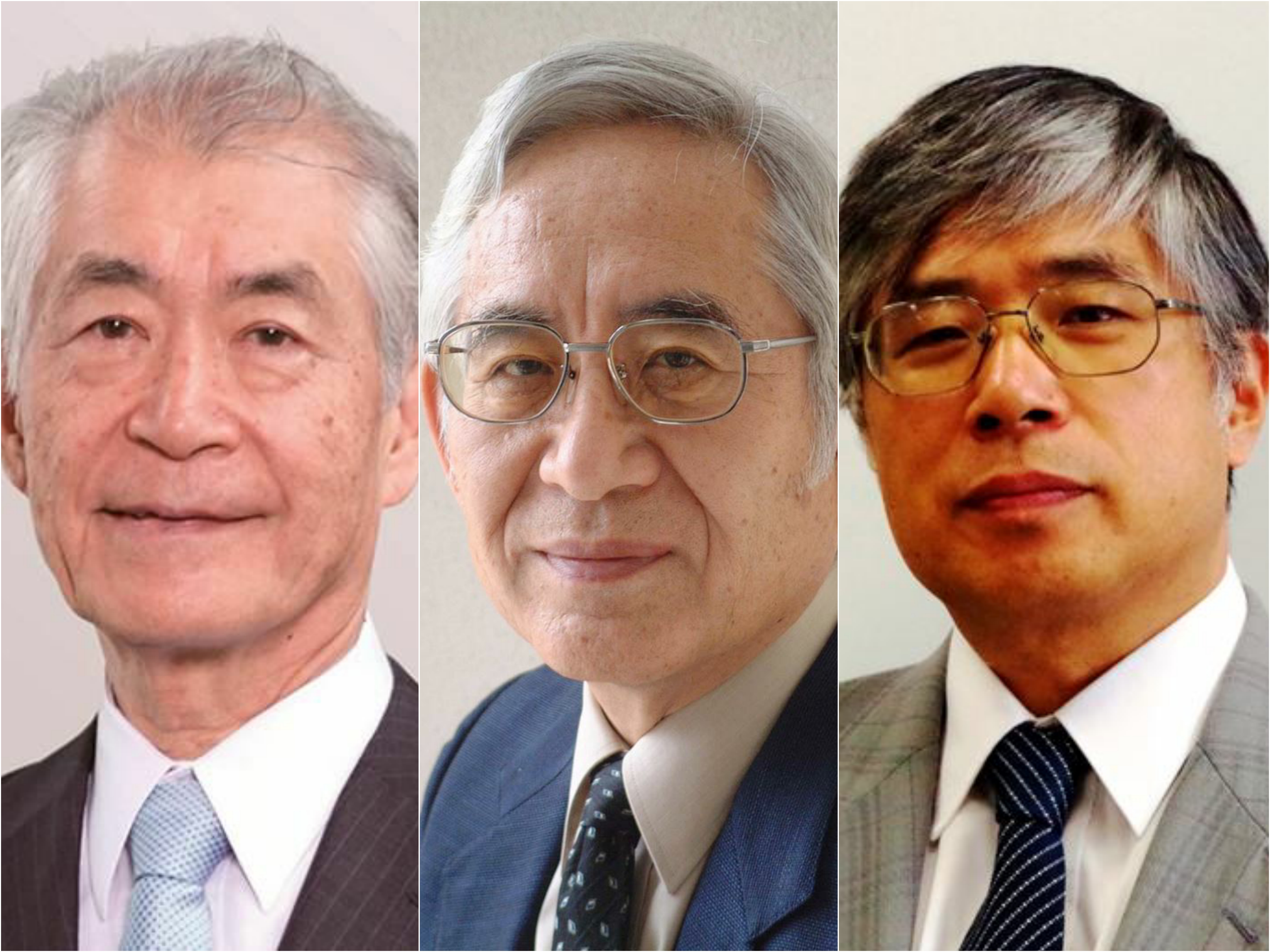 日本人ノーベル賞有力候補、本庶氏（京大客員教授）ら３人−トムソン・ロイター予想 | 科学技術・大学 ニュース | 日刊工業新聞 電子版