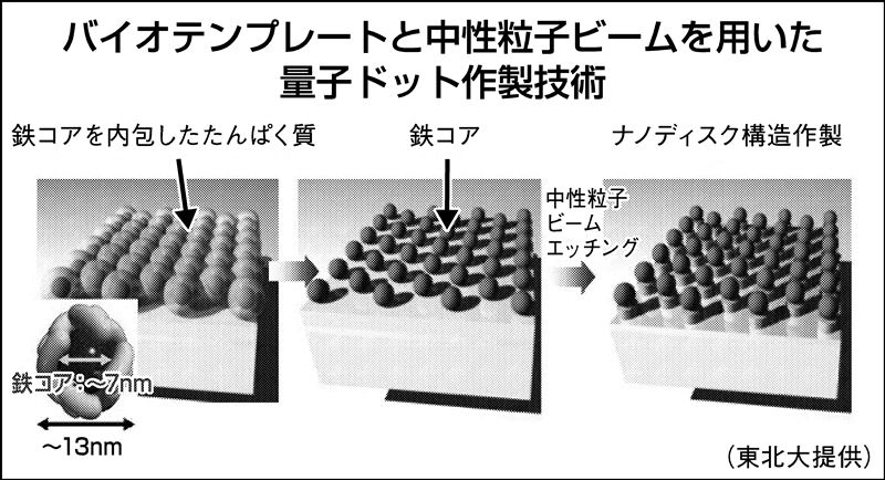 東北大、発光効率100倍の量子ナノディスク作製 量子ドットLED実現へ