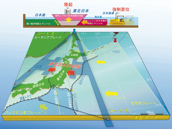 300万年前の日本列島地殻変動、産総研が定説覆す | 科学技術・大学