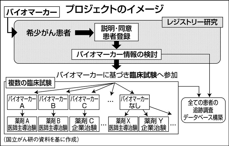 新薬承認スピードアップ がんや希少疾患に特例制度 Nikkei Style