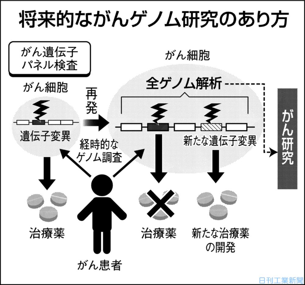 ゲノムで変わるがん治療（下）全ゲノム解析と経時調査で新標的発見 | 科学技術・大学 ニュース | 日刊工業新聞 電子版
