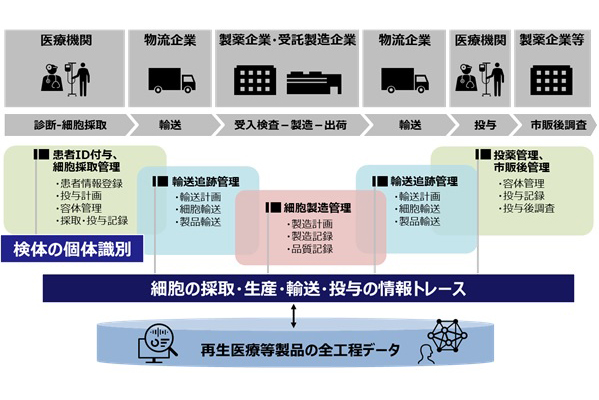 肥満 病気は もう通用しない 皮下脂肪で病気を防ぐ という 健康の新常識