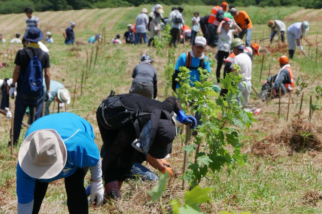 植林活動: 植林プロジェクト 実例 – BWAYO