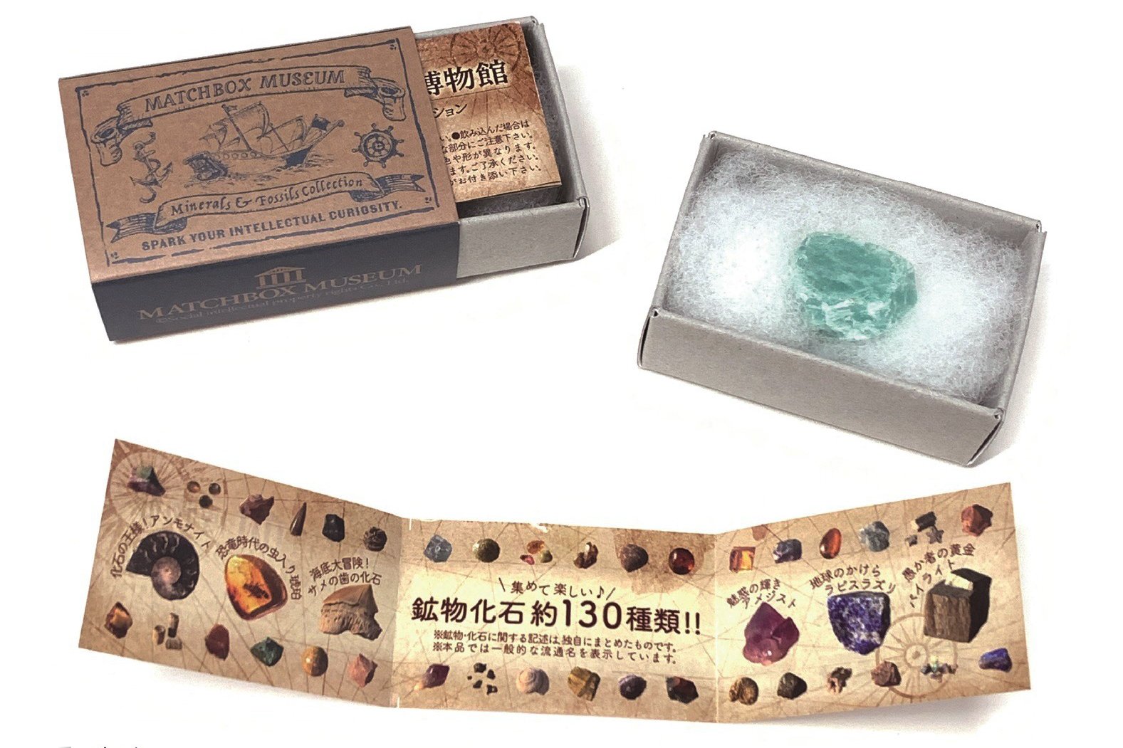 隕石 ？化石？ 木箱あり 【公式通販】