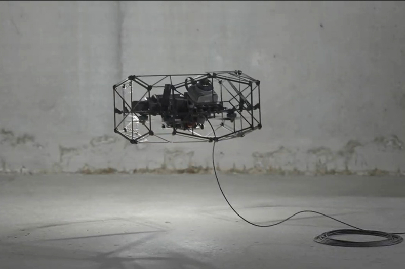 鉄骨plants様ご確認用　イエロームーンドワーフトトロ、 EXP 鉄骨plants様ご確認用 イエロームーンドワーフトトロ、 EXP イエロー