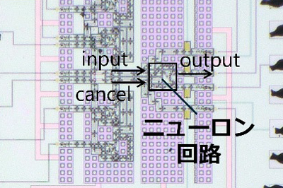 横浜国大、超電導回路でニューロン応答 高速AIデバイスに道 | 日刊工業
