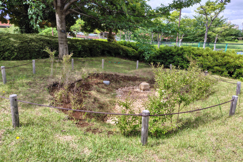 日比谷“雨庭”治水功能受关注，造园企业发挥优势