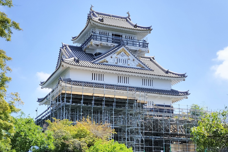 地域の現場から支局便り（19）岐阜城「山城夜景」ブランド化 内外から