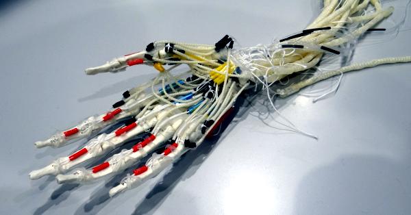 5本指で広がるロボットの可能性−東工大・東大の開発者に聞く