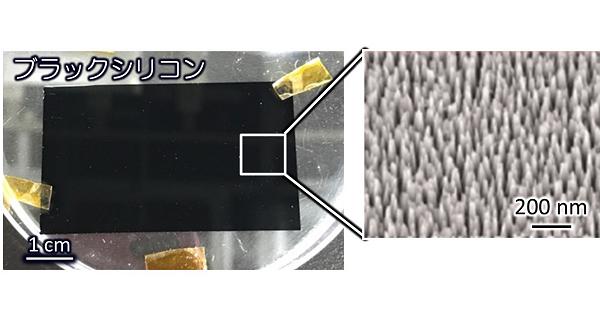 【専用】おまとめ7点 専用 7点 確認 umiiさん専用 楽天市場】鮎 水中糸 ZX複合メタル 0.08