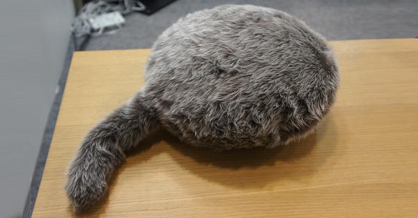 ユカイ工学、しっぽ付き癒やしロボ | ロボット ニュース | 日刊