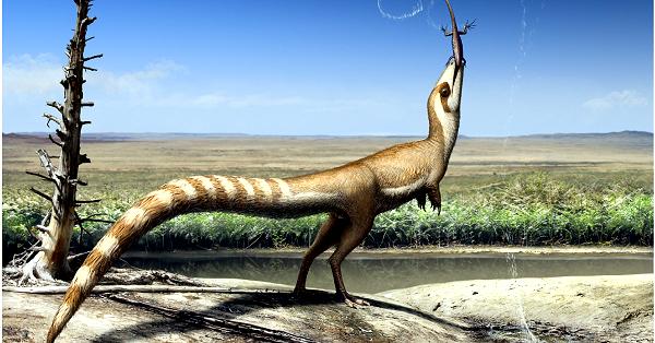 電子版】恐竜「シノサウロプテリクス」、アライグマに似た濃淡模様 英