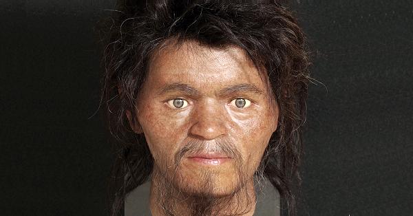 電子版】旧石器時代人骨の顔、デジタル技術で復元 彫り深く、額は広め