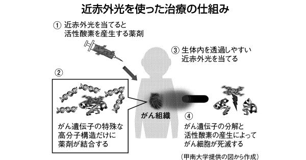 がん転移分子のみ破壊 甲南大、負担軽い治療に期待 | 科学技術・大学 ニュース | 日刊工業新聞 電子版