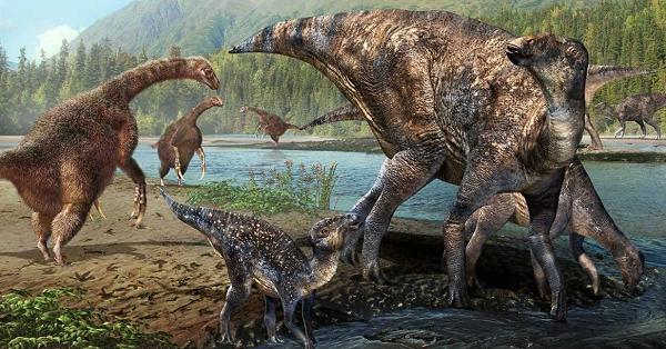 北大、テリジノサウルス類の足跡発見 白亜紀後期の地層で | 科学技術