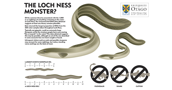電子版 ネッシー 存在せず 国際科学者チーム おそらく巨大なうなぎ 科学技術 大学 ニュース 日刊工業新聞 電子版